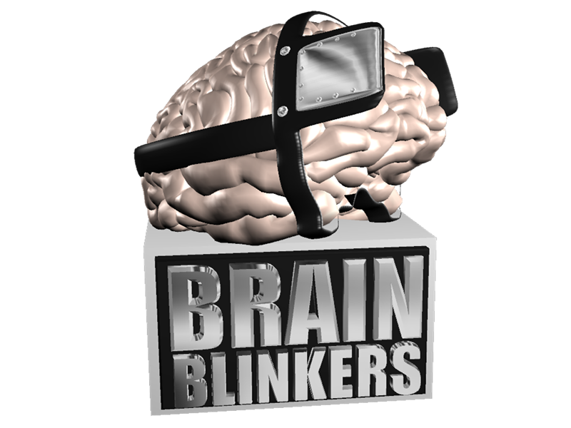 Brain Blinkers workshop Brain Blinkers workshop